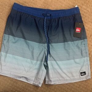Quiksilver Men's Gradient Blue Board Shorts